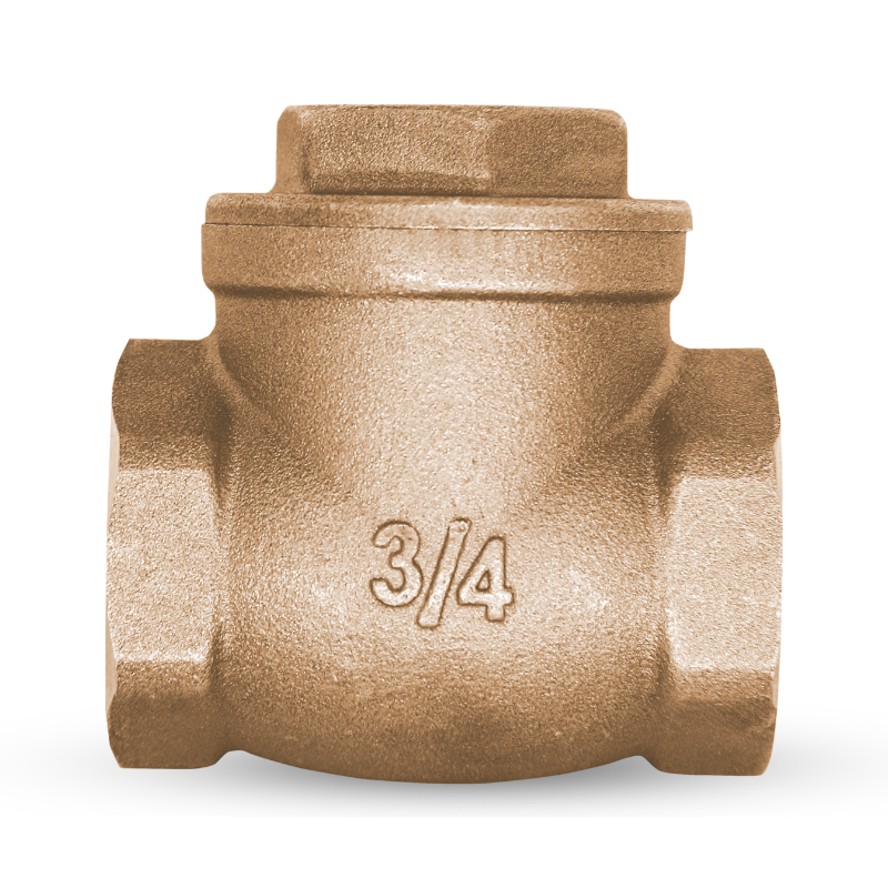 Swing Check Valve