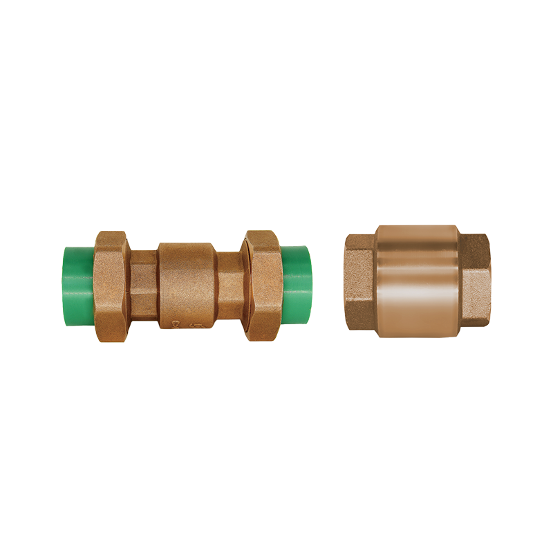 Spring Check Valve